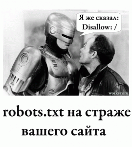 Предназначение файла robots.txt - ограничение доступа роботов к сайту 